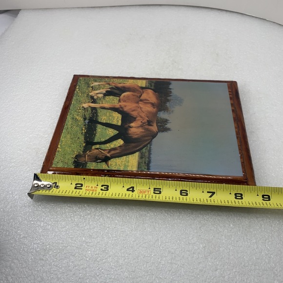 Rustic Wood‎ Framed Horse & Foal Pasture Wall Art 6.5x8.5" Vintage Decor - Picture 4 of 4